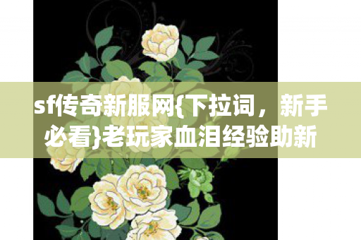 sf传奇新服网{下拉词,新手必看}老玩家血泪经验助新人避坑 sf传奇新服网{下拉词,新手必看}老玩家血泪经验助新人避坑
