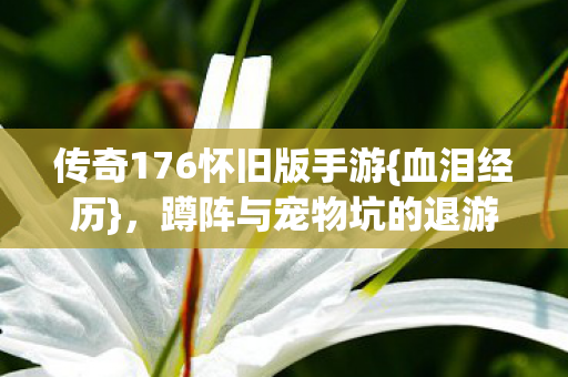 蹲阵与宠物坑的退游边缘图片
