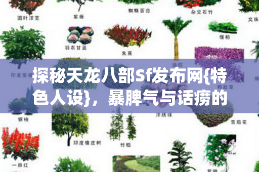 探秘天龙八部Sf发布网图片
