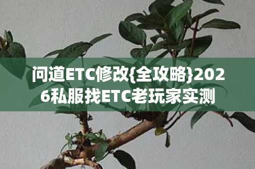 2026私服找ETC老玩家实测图片