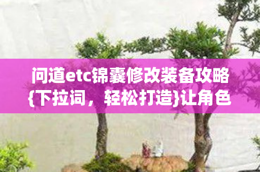 问道etc锦囊修改装备攻略{下拉词,轻松打造}让角色焕发生机 问道etc锦囊修改装备攻略{下拉词,轻松打造}让角色焕发生机