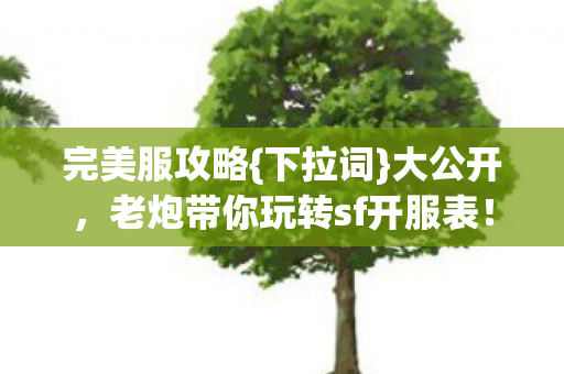老炮带你玩转sf开服表图片