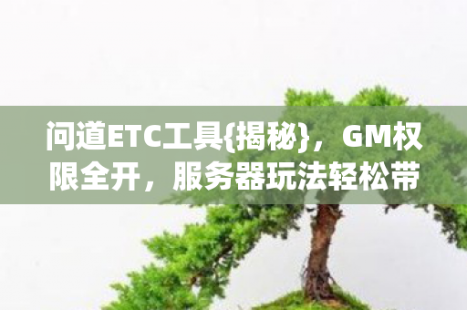 问道ETC工具{揭秘}，GM权限全开，服务器玩法轻松带飞