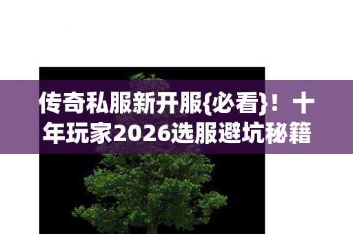传奇私服新开服{必看}！十年玩家2026选服避坑秘籍