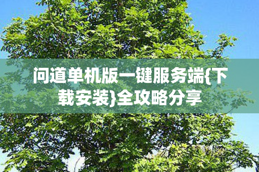 问道单机版一键服务端{下载安装}全攻略分享
