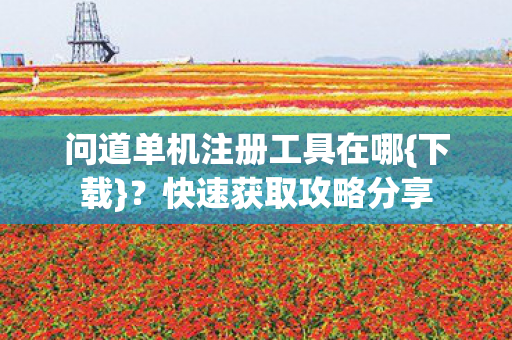 问道单机注册工具在哪图片