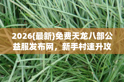 免费天龙八部公益服发布网图片