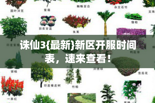 新区开服时间表图片
