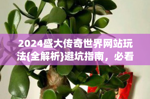 2024盛大传奇世界网站玩法图片