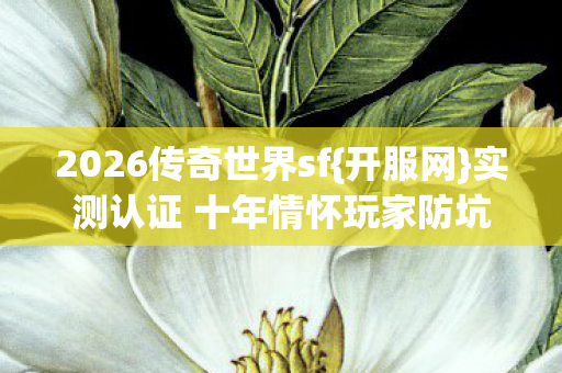 实测认证 十年情怀玩家防坑必看图片