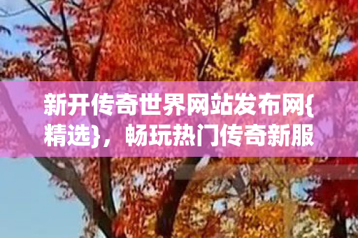 新开传奇世界网站发布网图片