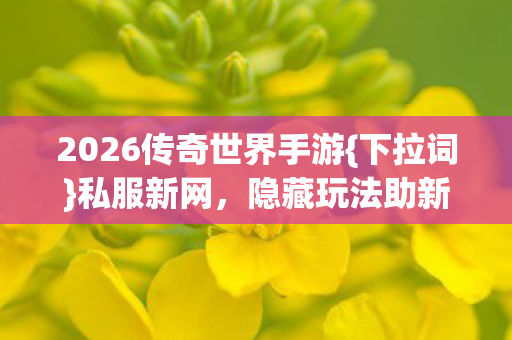 2026传奇世界手游图片