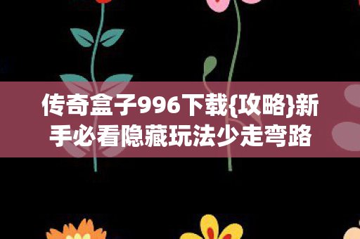 传奇盒子996下载{攻略}新手必看隐藏玩法少走弯路