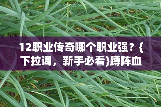 12职业传奇哪个职业强？{下拉词，新手必看}蹲阵血泪分享