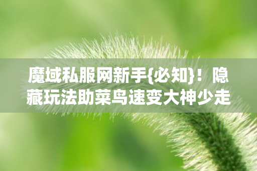 魔域私服网新手{必知}！隐藏玩法助菜鸟速变大神少走弯路