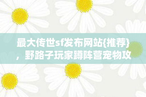 野路子玩家蹲阵营宠物攻略图片