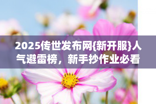 2025传世发布网图片