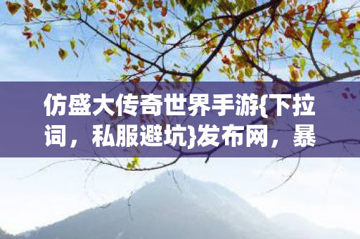 仿盛大传奇世界手游图片