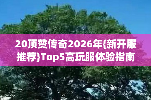 20顶赞传奇2026年{新开服推荐}Top5高玩服体验指南 20顶赞传奇2026年{新开服推荐}Top5高玩服体验指南