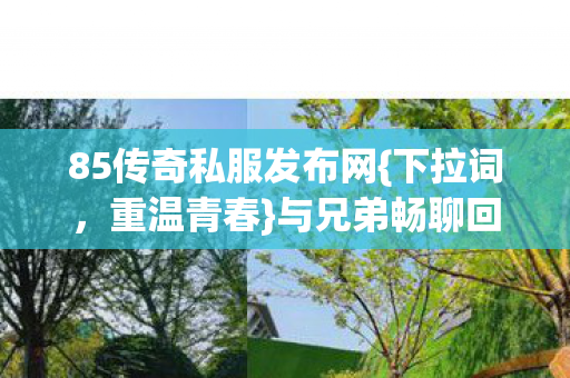 85传奇私服发布网{下拉词,重温青春}与兄弟畅聊回忆 85传奇私服发布网{下拉词,重温青春}与兄弟畅聊回忆