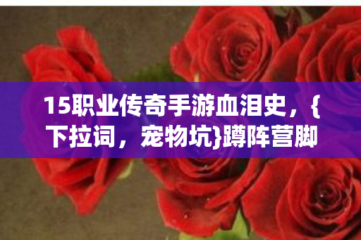 15职业传奇手游血泪史,{下拉词,宠物坑}蹲阵营脚麻经历 15职业传奇手游血泪史,{下拉词,宠物坑}蹲阵营脚麻经历