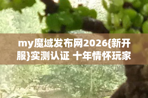 my魔域发布网2026{新开服}实测认证 十年情怀玩家避坑指南