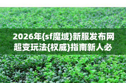 2026年{sf魔域}新服发布网超变玩法{权威}指南新人必看