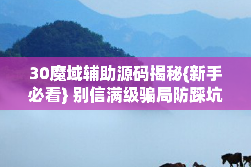 30魔域辅助源码揭秘{新手必看} 别信满级骗局防踩坑