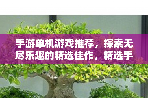 手游单机游戏推荐，探索无尽乐趣的精选佳作，精选手游单机游戏，探索无尽乐趣的佳作推荐