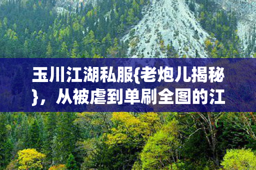 从被虐到单刷全图的江湖路图片