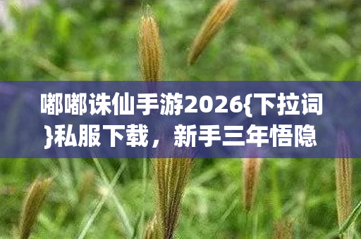 嘟嘟诛仙手游2026图片