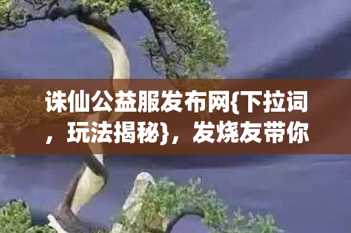 发烧友带你玩转野路子图片