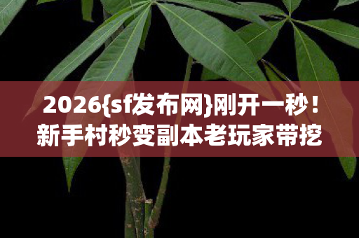 2026{sf发布网}刚开一秒！新手村秒变副本老玩家带挖宝