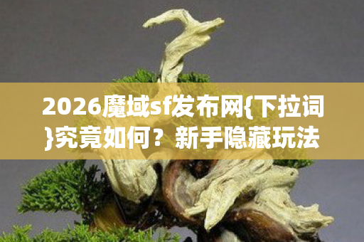 2026魔域sf发布网图片