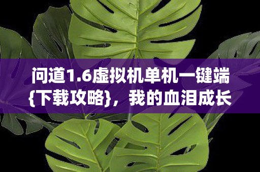 问道1.6虚拟机单机一键端{下载攻略}，我的血泪成长历程