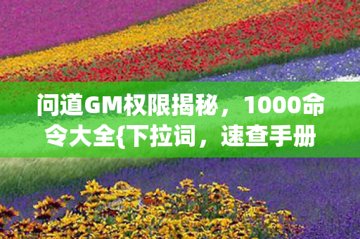 问道GM权限揭秘，1000命令大全{下拉词，速查手册}
