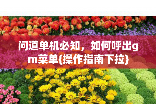 问道单机必知，如何呼出gm菜单{操作指南下拉}