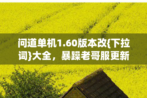 暴躁老哥服更新超震撼图片