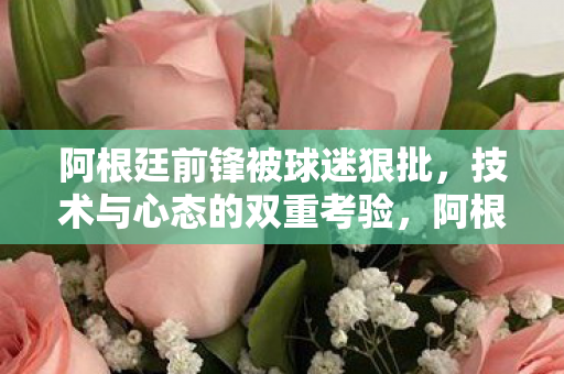 阿根廷前锋被球迷狠批，技术与心态的双重考验，阿根廷前锋遭球迷狠批，技术与心态双重考验