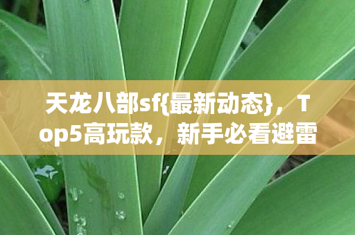 新手必看避雷指南图片