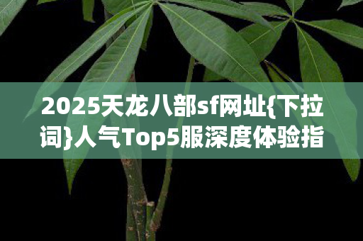 人气Top5服深度体验指南图片