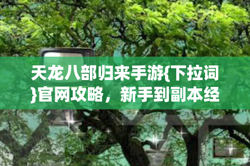 天龙八部归来手游{下拉词}官网攻略，新手到副本经验大公开