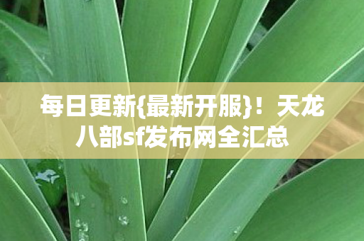 天龙八部sf发布网全汇总图片