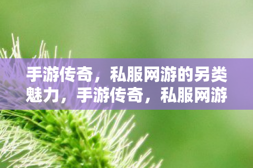 手游传奇，私服网游的另类魅力，手游传奇，私服网游的另类魅力