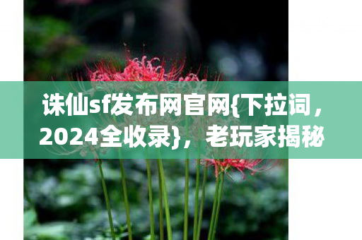 诛仙sf发布网官网图片