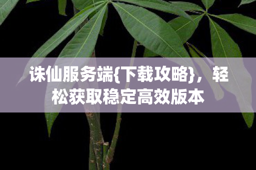 轻松获取稳定高效版本图片