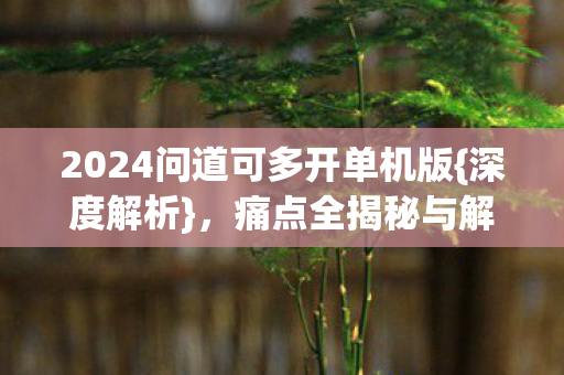 2024问道可多开单机版{深度解析},痛点全揭秘与解决之道 2024问道可多开单机版{深度解析},痛点全揭秘与解决之道