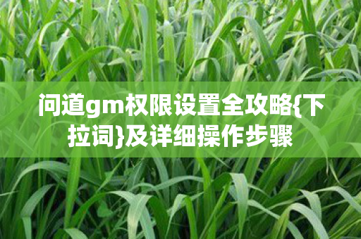 问道gm权限设置全攻略{下拉词}及详细操作步骤 问道gm权限设置全攻略{下拉词}及详细操作步骤