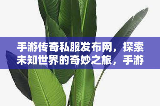 手游传奇私服发布网，探索未知世界的奇妙之旅，手游传奇私服发布网，开启探索未知世界的奇妙之旅