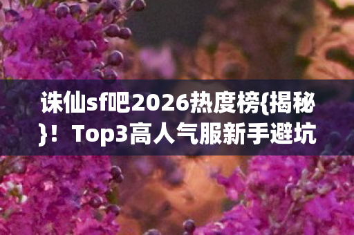 Top3高人气服新手避坑指南图片